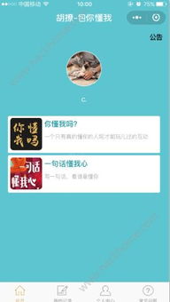 胡撩答題軟件探秘 功能、安全性與重慶軟件開發環境解析